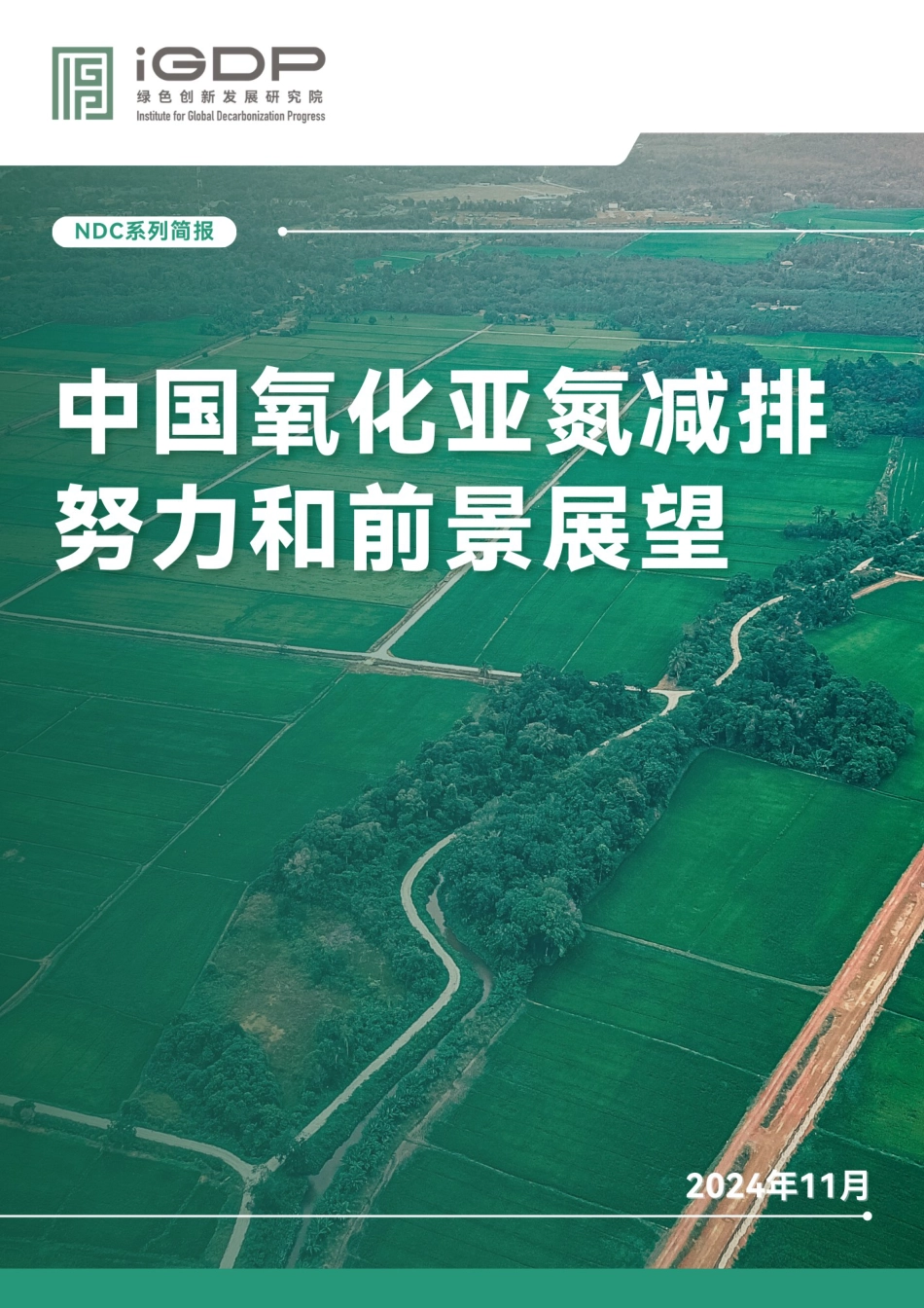 【报告】中国氧化亚氮减排努力和前景展望：排放现状、减排政策、机遇和挑战_第1页