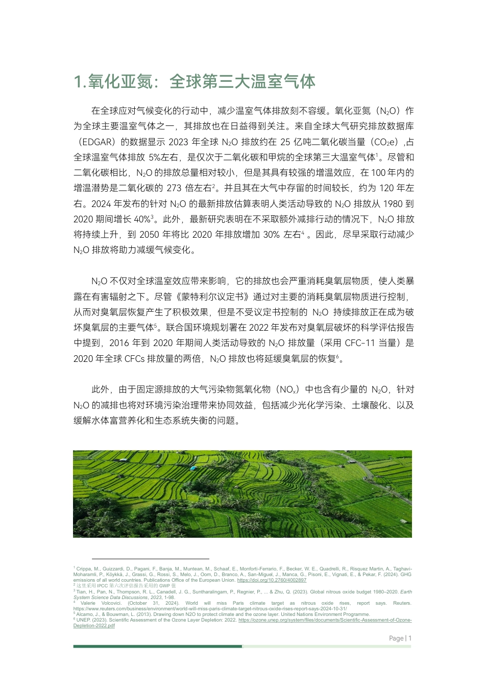 【报告】中国氧化亚氮减排努力和前景展望：排放现状、减排政策、机遇和挑战_第2页