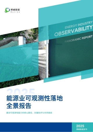 “双碳”目标下的能源业转型指南！附2025年能源业可观测性全景报告