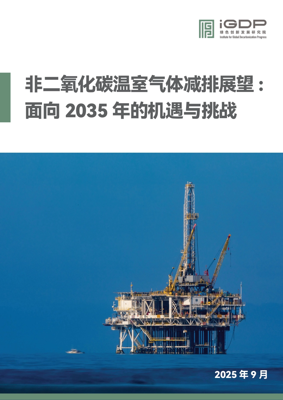 IGDP：非二氧化碳温室气体减排展望：面向 2035 年的机遇与挑战 (1)_第1页