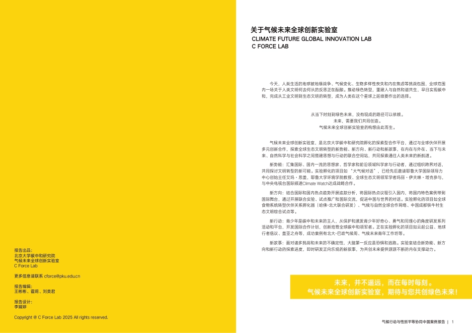 北大碳中和研究院:气候行动与性别平等协同中国案例_第2页