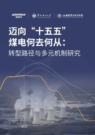 绿色和平：展望“十五五”：电力部门的降碳路径