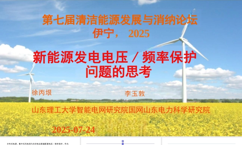 【PPT】新能源发电电压 频率保护问题的思考