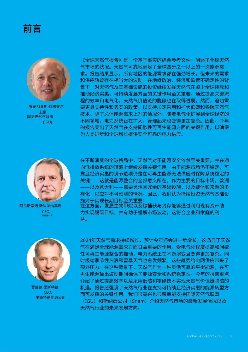 国际气体联盟IGU：2025年全球天然气报告_第3页