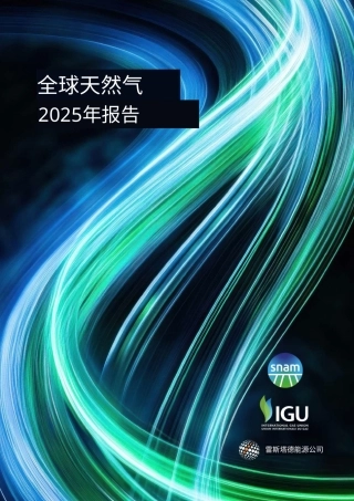 国际气体联盟IGU：2025年全球天然气报告