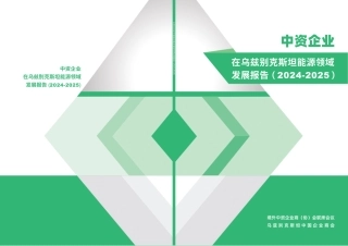 境外联席会议：中资企业在乌兹别克斯坦能源领域发展报告（2024-2025）