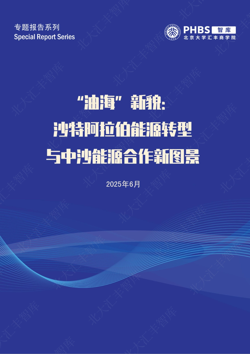 北大汇丰智库：“油海”新貌：沙特阿拉伯能源转型与中沙能源合作新图景_第1页