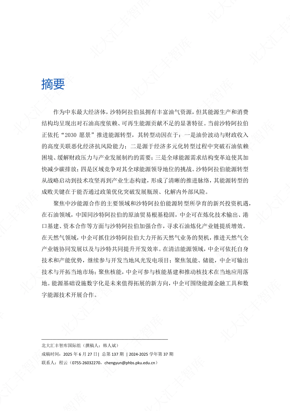 北大汇丰智库：“油海”新貌：沙特阿拉伯能源转型与中沙能源合作新图景_第2页