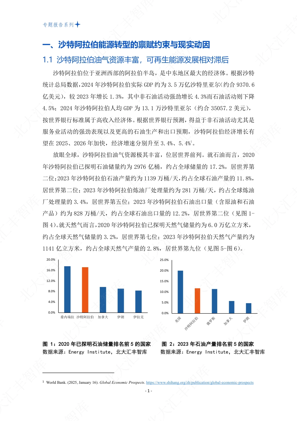 北大汇丰智库：“油海”新貌：沙特阿拉伯能源转型与中沙能源合作新图景_第3页