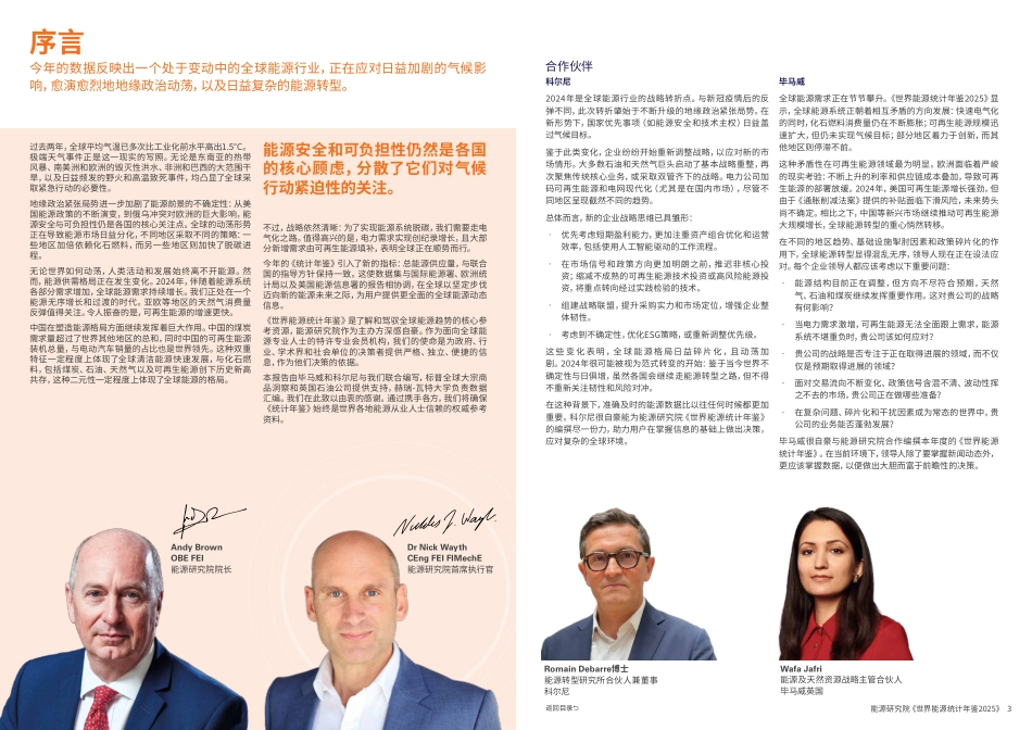 毕马威：2025世界能源统计年鉴_第3页
