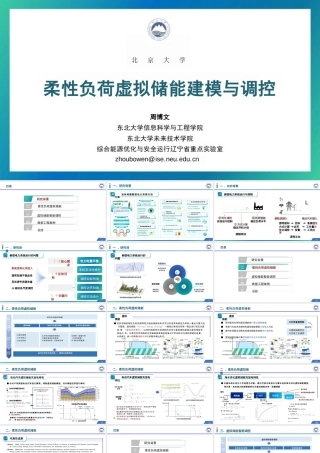 东北大学 周博文：柔性负荷虚拟储能建模与调控