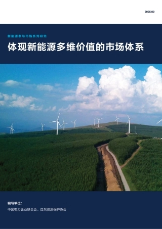 自然资源保护协会NRDC：体现新能源多维价值的市场体系