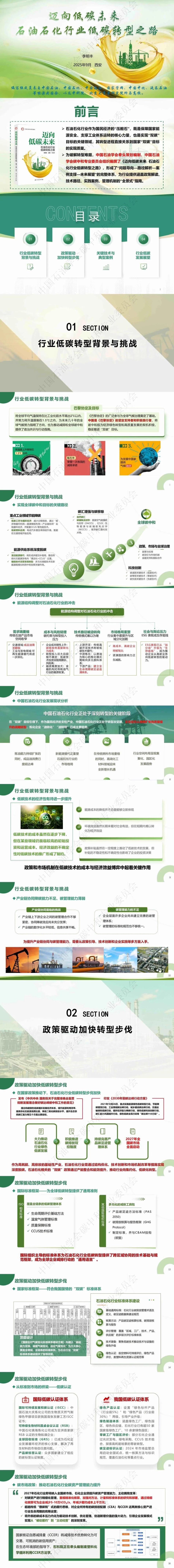 李明丰：迈向低碳未来 石油石化行业低碳转型之路_第1页