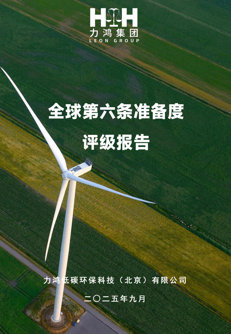力鸿集团：全球第六条准备度评级报告_第1页