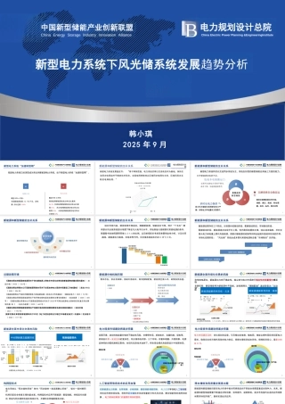 中国新型储能产业创新联盟 韩小琪：新型电力系统下风光储系统发展趋势分析