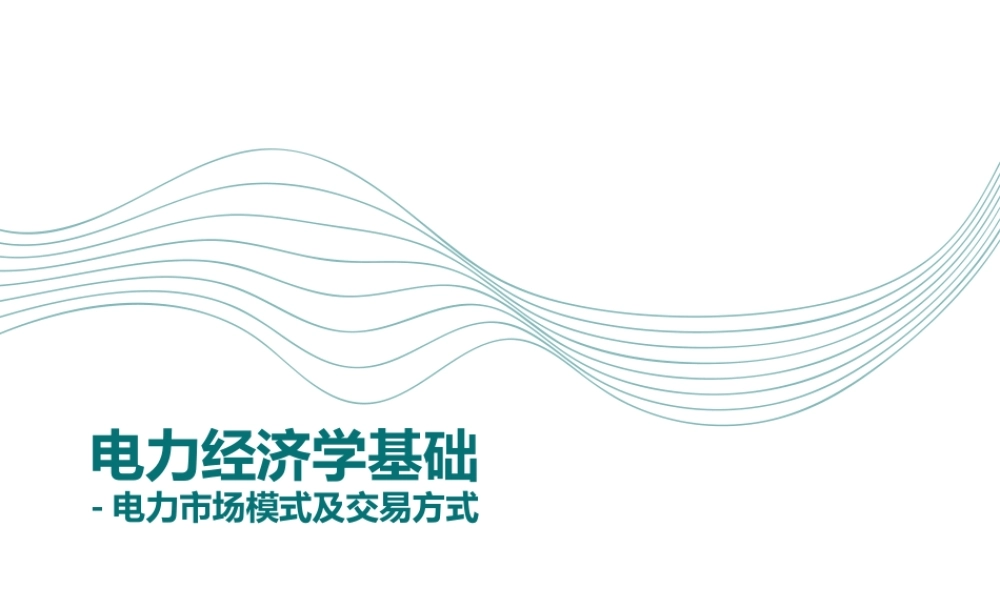 电力经济学基础-电力市场模式及交易方式
