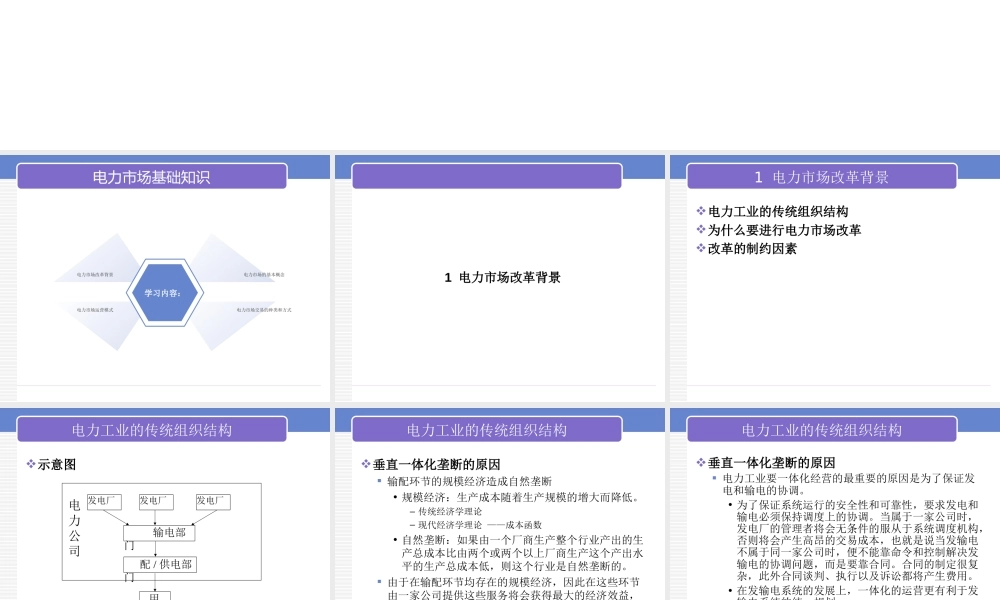电力经济学基础-电力市场模式及交易方式