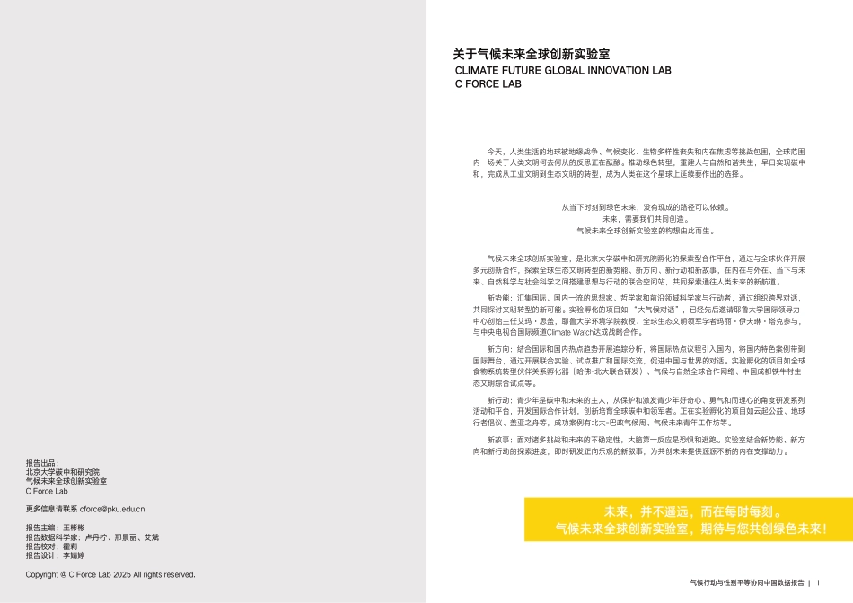 北大碳中和研究院：气候行动与性别平等协同中国数据报告_第2页