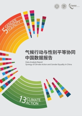 北大碳中和研究院：气候行动与性别平等协同中国数据报告
