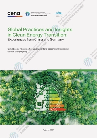 【英文】全球能源电力清洁转型经验与启示—中国、德国实践