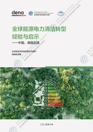 全球能源电力清洁转型经验与启示—中国、德国实践