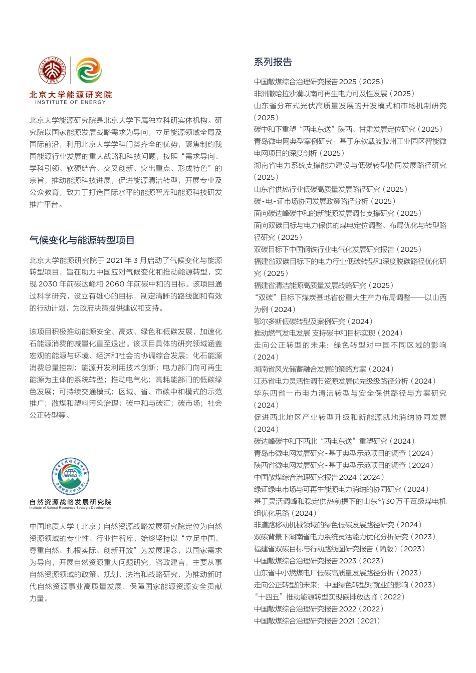 北大能研院:非洲转型矿产资源开发利用与国际合作战略研究_第2页