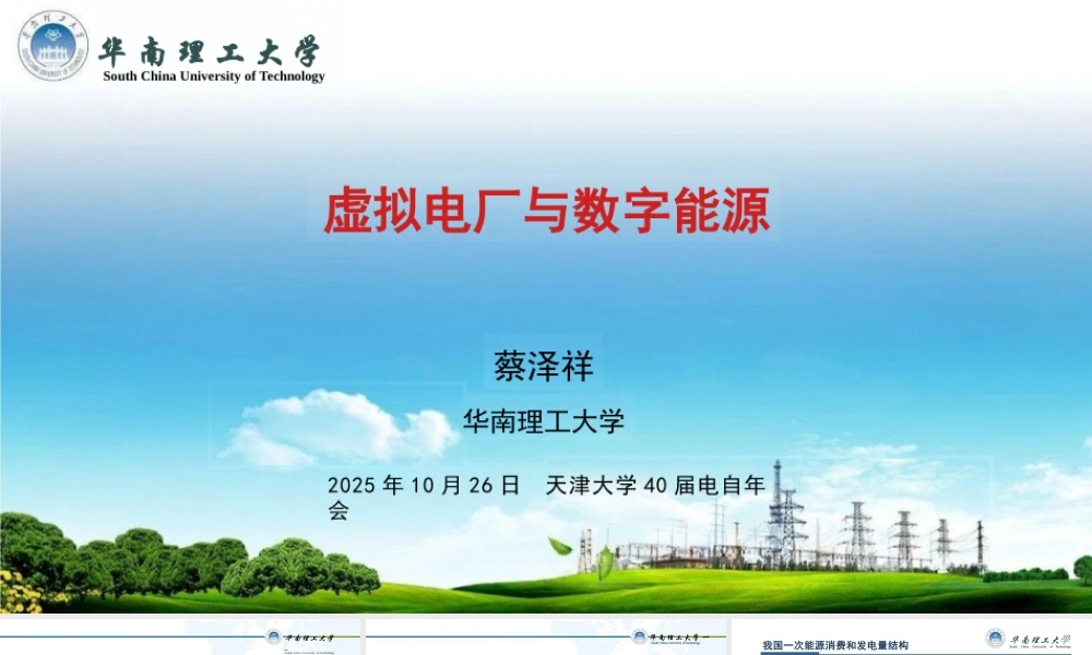 华南理工大学 蔡泽祥42页PPT：虚拟电厂与数字能源