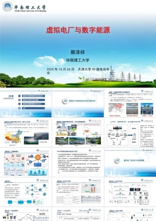 华南理工大学 蔡泽祥42页PPT：虚拟电厂与数字能源
