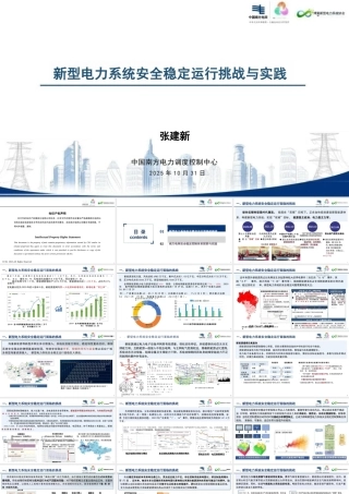 新型电力系统安全稳定运行挑战与实践