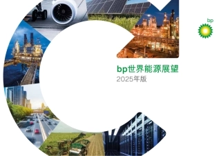中文-2025年bp世界能源展望