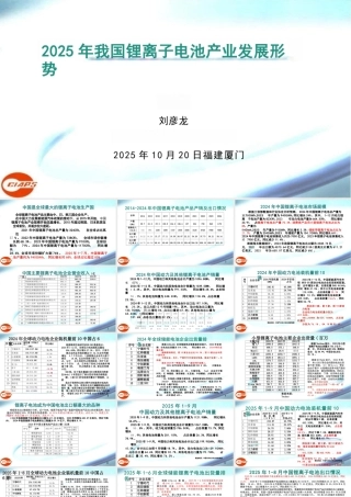 2025年我国锂离子电池产业发展形势