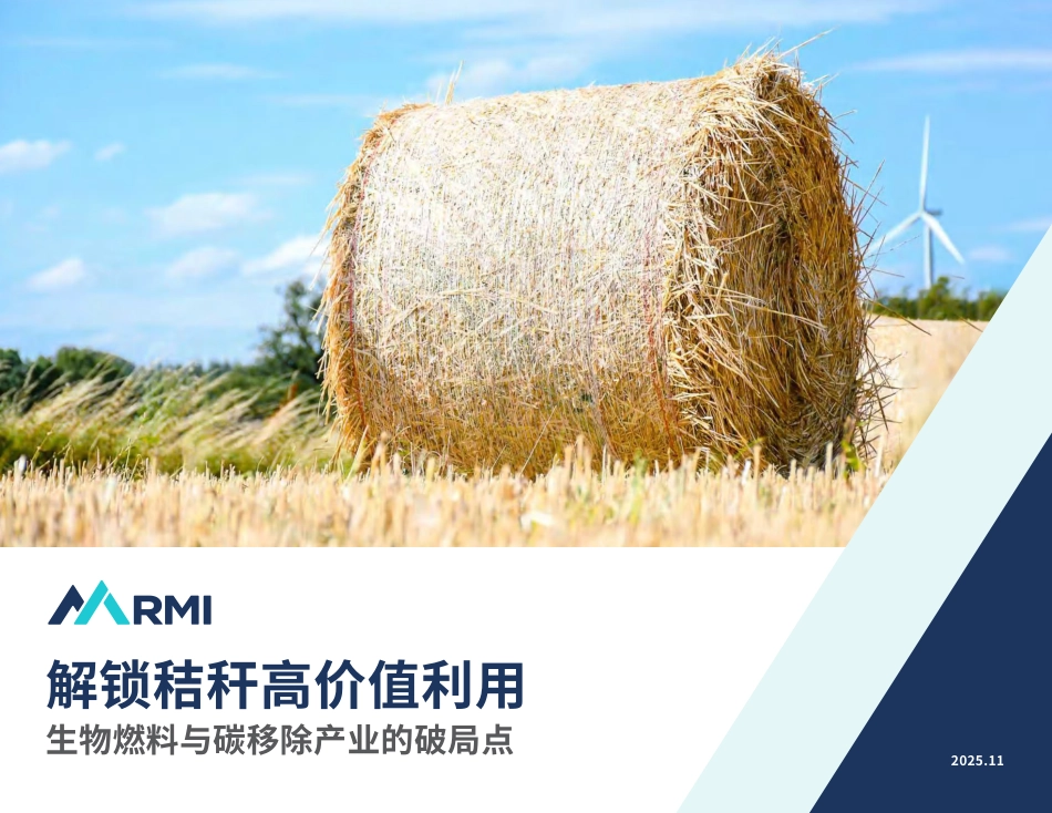 落基山研究所：解锁秸秆高价值利用——生物燃料与碳移除产业的破局点_第1页