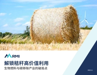 落基山研究所：解锁秸秆高价值利用——生物燃料与碳移除产业的破局点