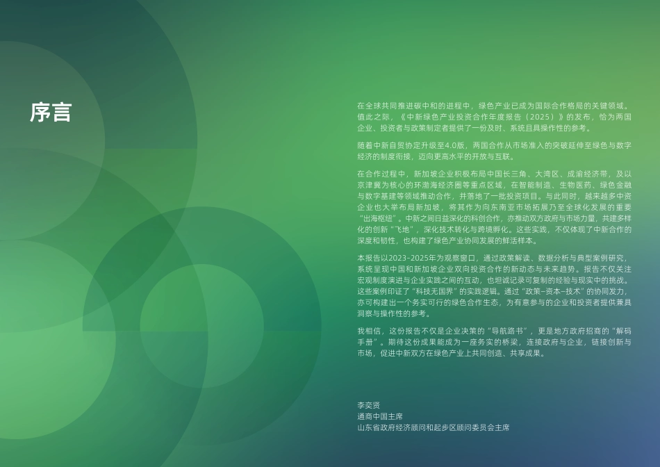 盛裕集团：中新绿色产业投资合作年度报告_第2页