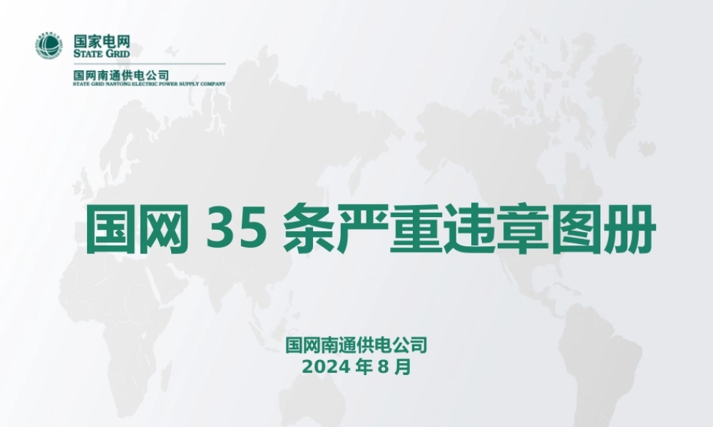 国网35条严重违章图册