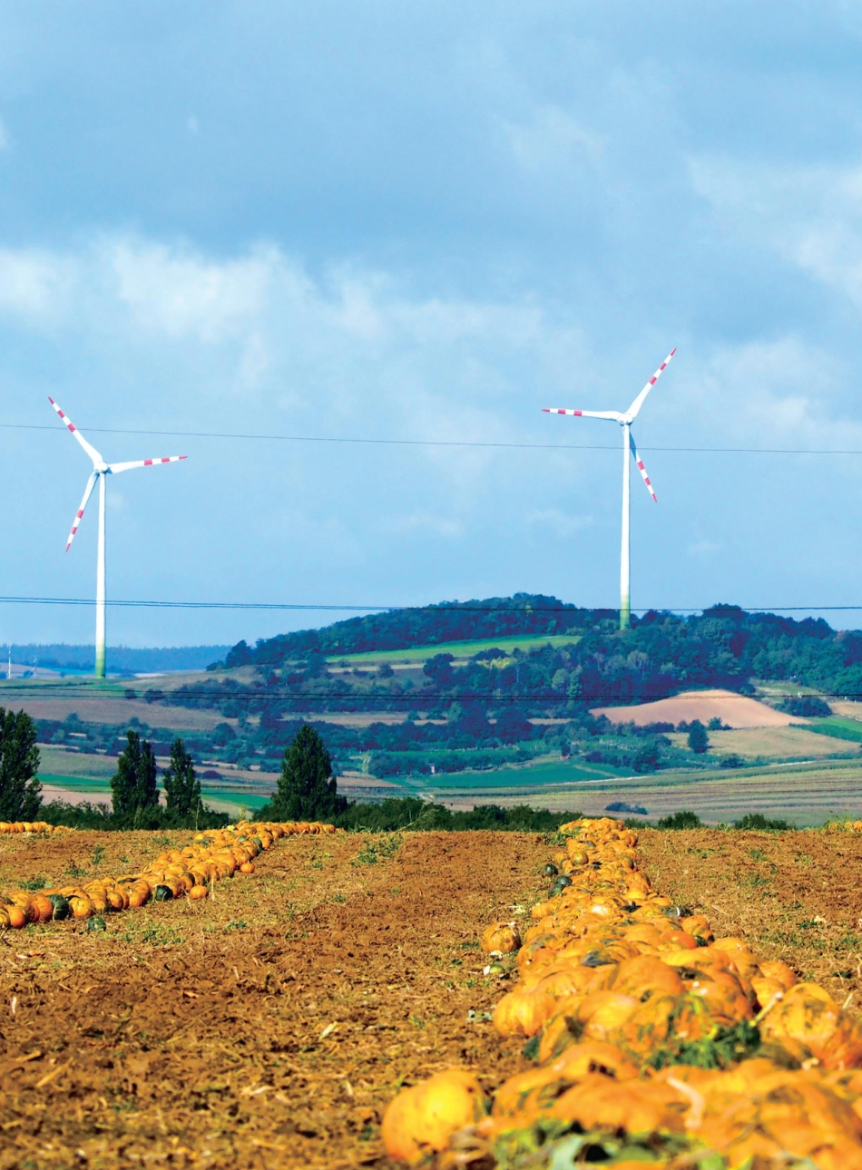 能源基金会：探索陆上风电新范式，激发区域发展新动能_第3页