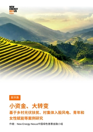NEX中国：基于乡村光伏扶贫、村集体入股风电、青年和女性赋能等案例研究