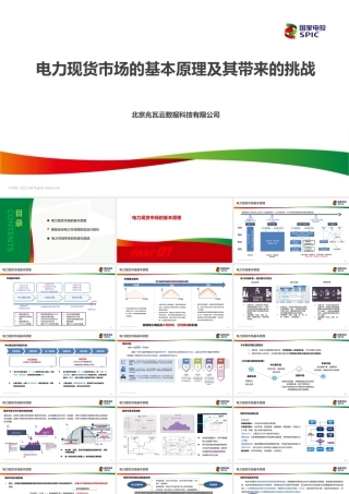 国家电投PPT：电力现货市场的基本原理及其带来的挑战