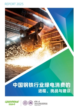 绿色和平：中国钢铁行业绿电消费的进程、挑战与建议