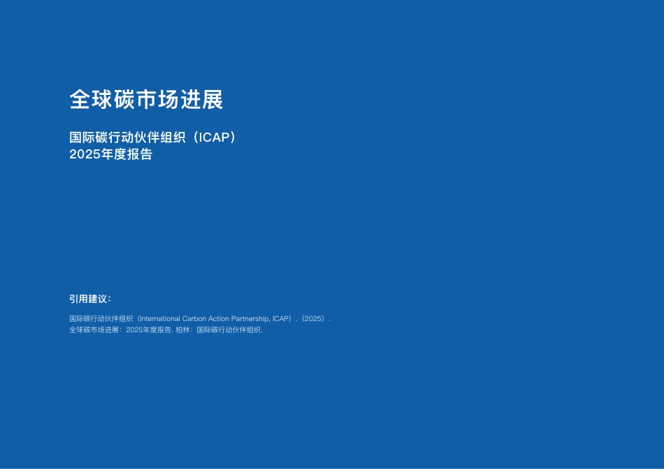 中文-全球碳市场进展2025年度报告执行摘要_第2页
