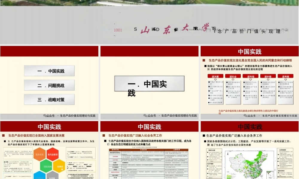 山东大学PPT：我国生态产品价值实现主流化实践与展望