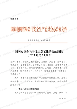 国网安委办〔2025〕84号   国网安委办关于反违章工作情况的通报（2025年第55期）