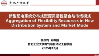 合肥工业大学 杨贺钧PPT：新型配电系统分布式资源灵活性聚合与市场模式