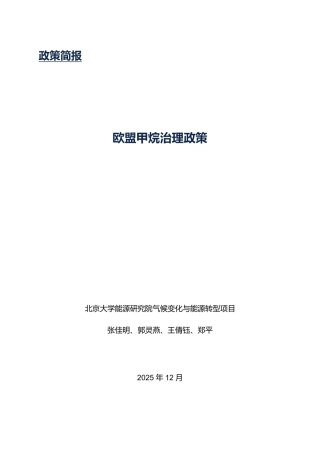 北大能研院：2025欧盟甲烷治理政策简报