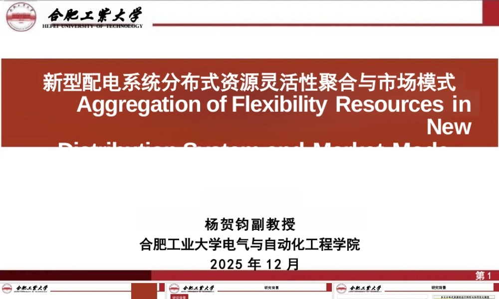 合肥工业大学 杨贺钧PPT:新型配电系统分布式资源灵活性聚合与市场模式