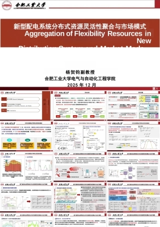合肥工业大学 杨贺钧PPT：新型配电系统分布式资源灵活性聚合与市场模式