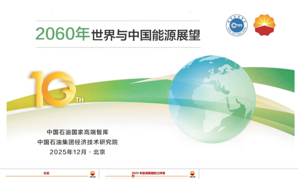 【中文版】2060世界与中国能源展望（2025版）
