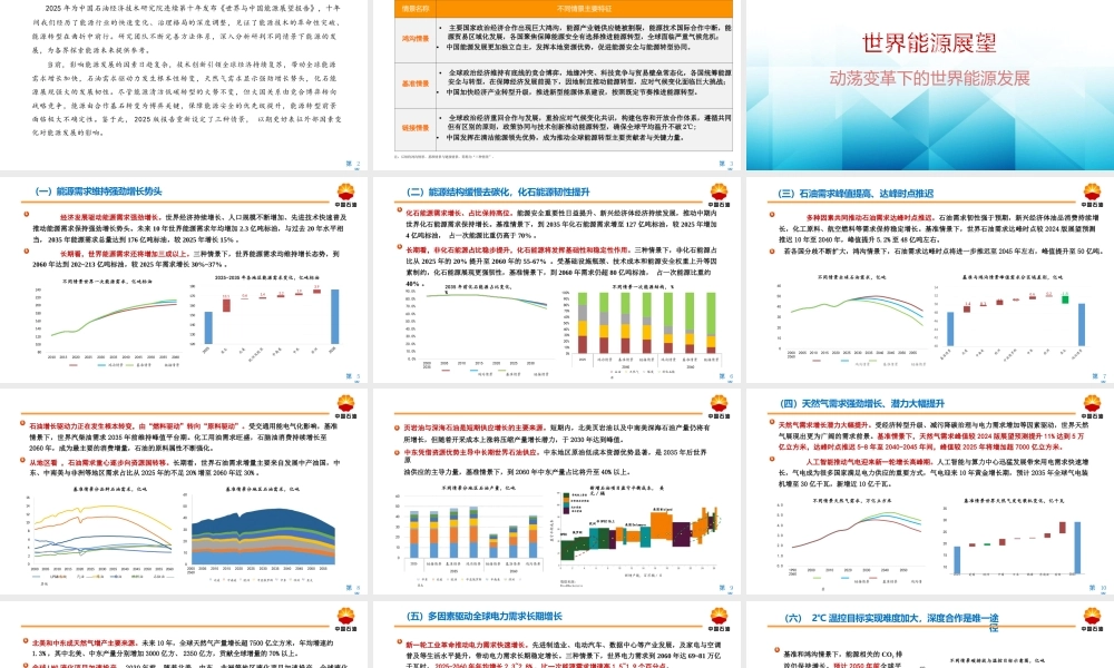 【中文版】2060世界与中国能源展望（2025版）