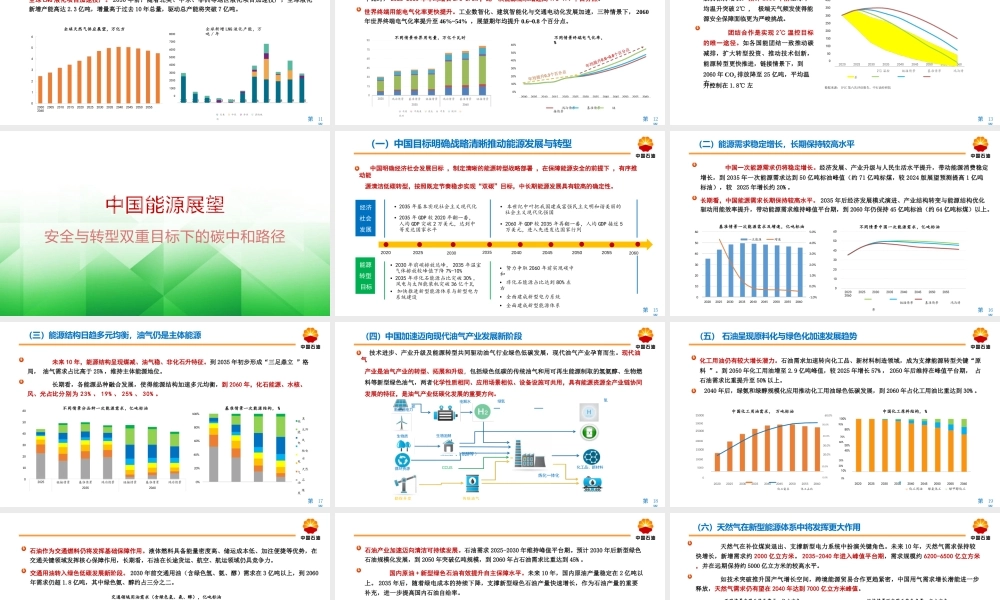 【中文版】2060世界与中国能源展望（2025版）