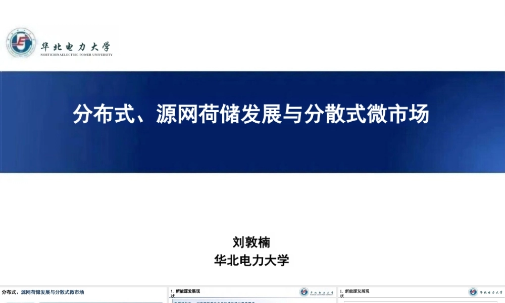 华北电力大学PPT：分布式、源网荷储发展与分散式微市场